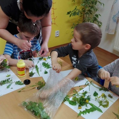 Akce roku 2016 - Herbář